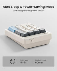 Kisnt FD17 Wireless Mechanical Number Pad