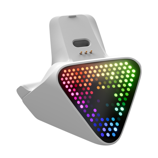 Dock 2 Pro for The Flydigi Apex 5 and Vader 5 Pro 800