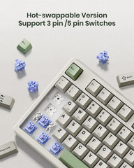 Kisnt KN85 Wireless Mechanical Keyboard