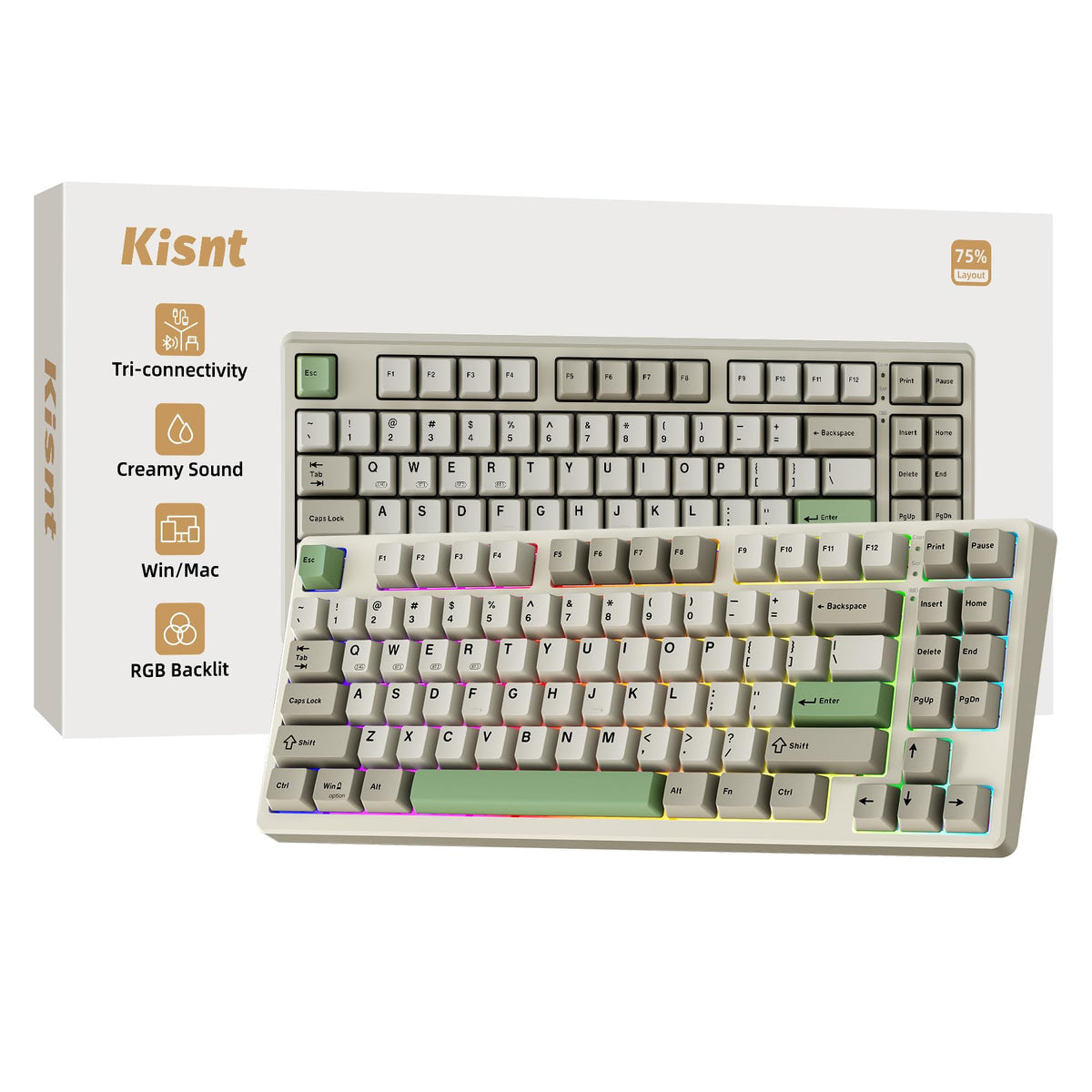 Teclado mecánico inalámbrico Kisnt KN85