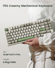 Kisnt KN85 Wireless Mechanical Keyboard