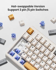 Kisnt KN104 Wireless Mechanical Gaming Keyboard