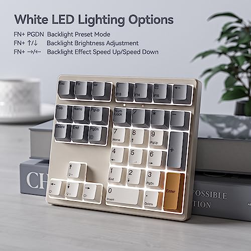 Kisnt KN34 Wired Mechanical Number Pad