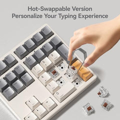 Kisnt KN34 Wired Mechanical Number Pad